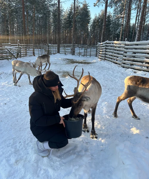 Reindeer Farm Pirttijärvi